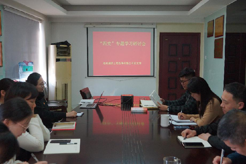 咨询团支部召开“四史”学习教育专题研讨会